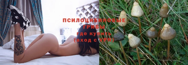 прущая мука Приозерск