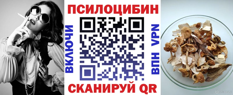 купить   Геленджик  Галлюциногенные грибы Psilocybe 