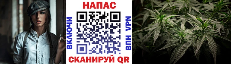 Канабис семена  Геленджик 